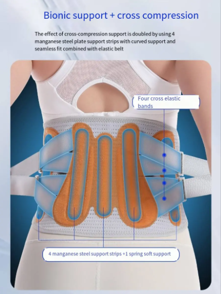 Waist Support Belt For Powerlifting
